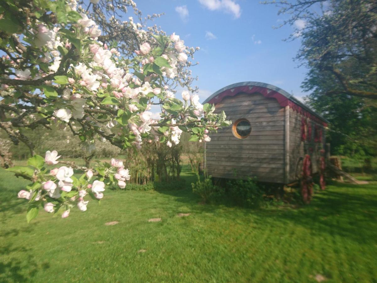 Saint-Michel-sur-Meurthe Roulotte Le Temps De Rever B&B 외부 사진