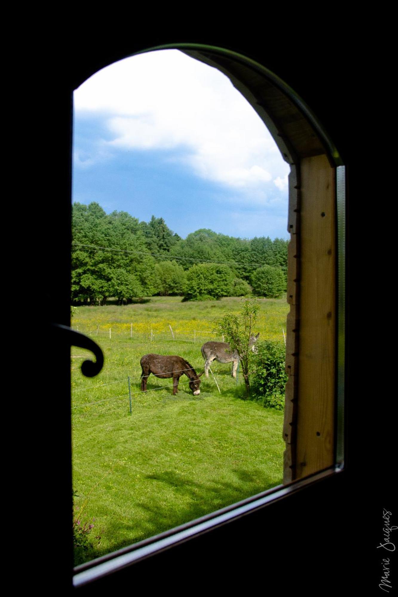 Saint-Michel-sur-Meurthe Roulotte Le Temps De Rever B&B 외부 사진